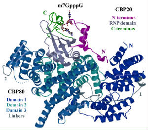 figure_6a.2.jpg
